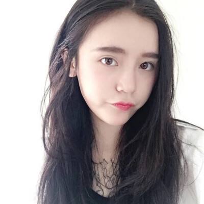 萌犬赶羊益智3d游戏下载
